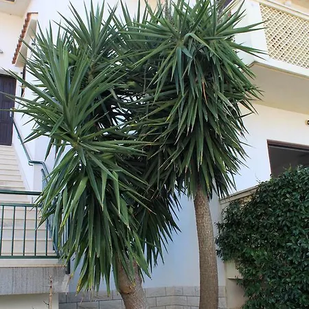 Studio Slatine 9453a Apartment Trogir